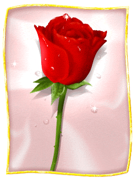 {A rose for you from Jenny's Flowers}